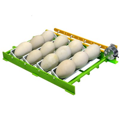 Inkubator Lęgowy Jaj z Klujnikiem – Automatyczny - PD60 SH