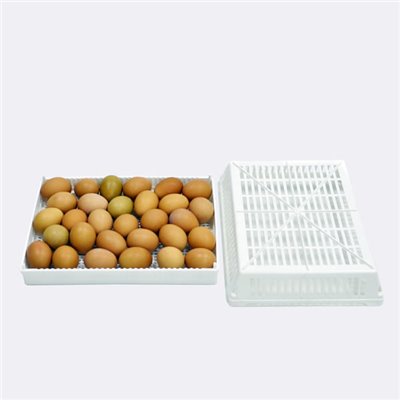 Inkubator lęgowy jaj - Automat - HB700 S
