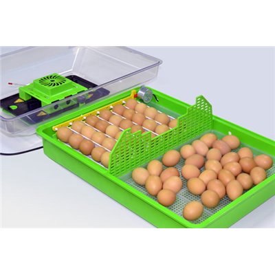Inkubator Lęgowy Jaj z Klujnikiem – Automatyczny - PD60 SH