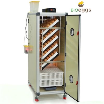 Inkubator Lęgowy jaj z Klujnikiem - HB500 C