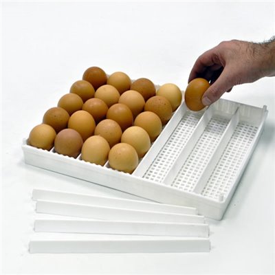 Inkubator Lęgowy jaj z Klujnikiem - HB500 C