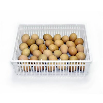 Inkubator Lęgowy jaj z Klujnikiem - HB700 C
